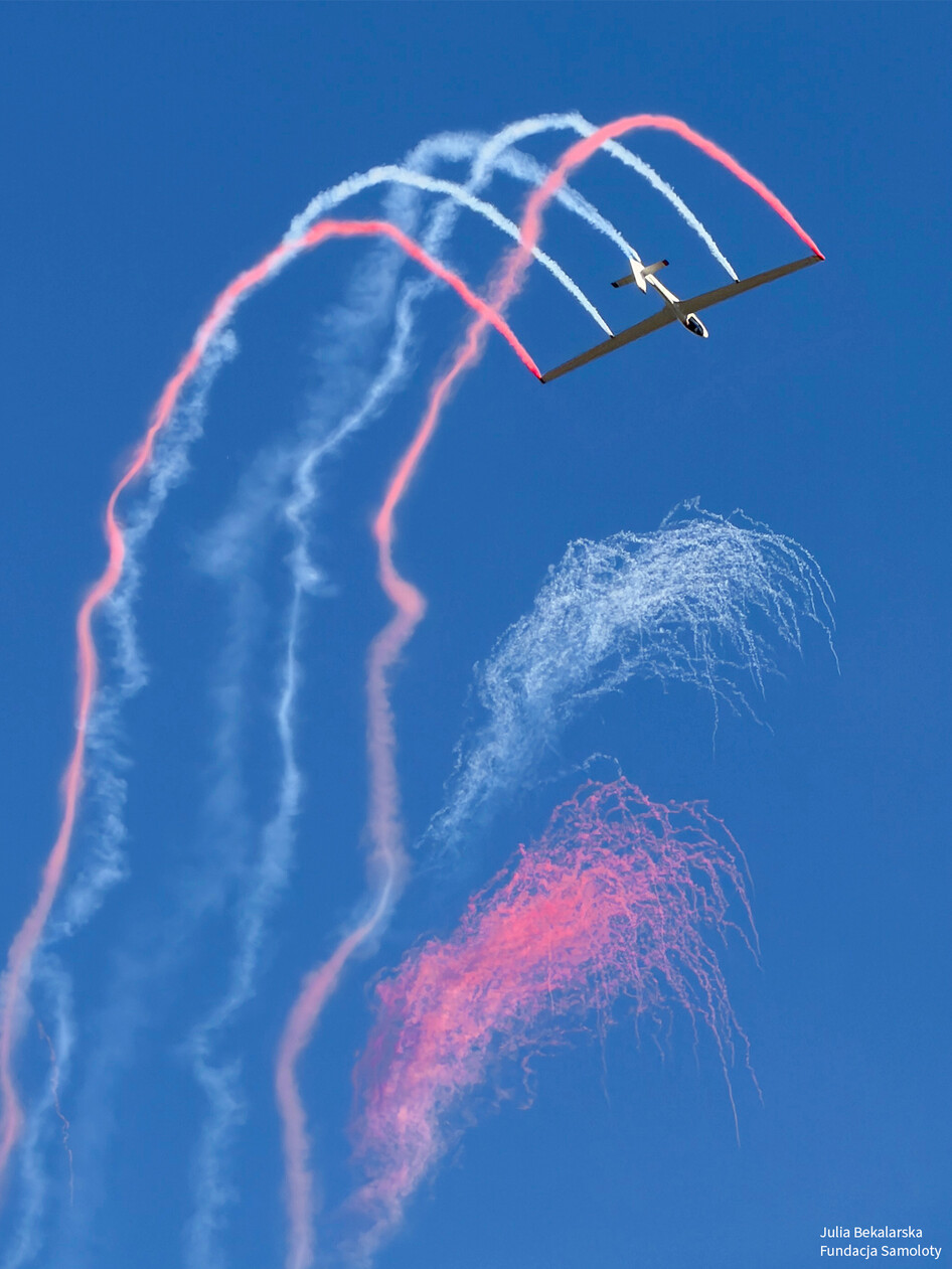 Sszd-Allstar-Pzl-Glider-80th-Anniversary-Johan-Gustafsson